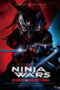 Ninja Wars - Black Fox vs Shogun's Ninja (2026)